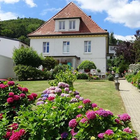 Ferienwohnung Loma バート・ハルツブルク エクステリア 写真