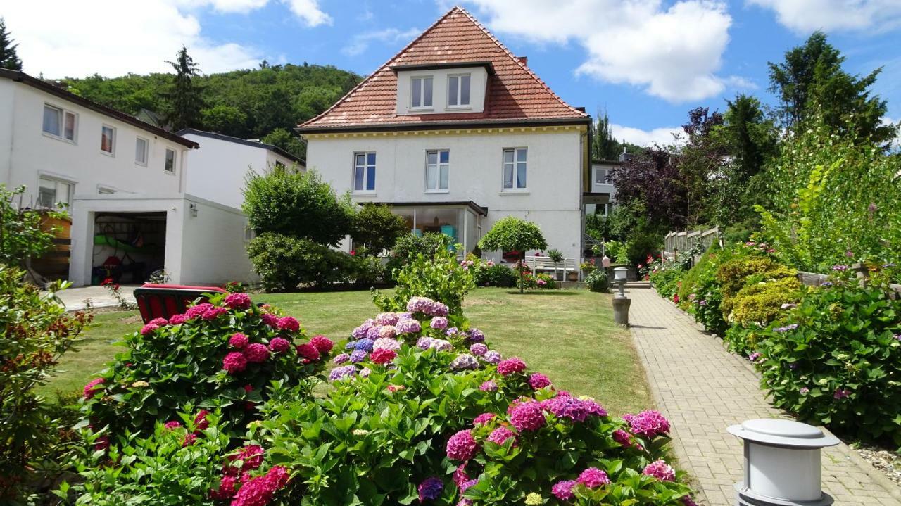 Ferienwohnung Loma バート・ハルツブルク エクステリア 写真